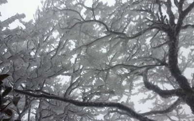 Bắc Bộ rét đậm, vùng núi có băng tuyết