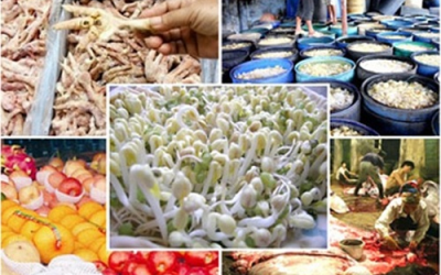 Ung thư vì chọn thực phẩm 'sạch' theo cảm tính