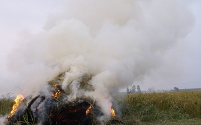 Khói rơm rạ - nguyên nhân dẫn đến bệnh hô hấp