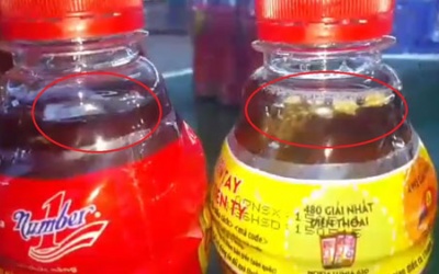 Chúng tôi dại chứ không ngu!