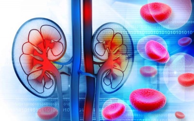 Thực phẩm chức năng gây suy giảm chức năng thận?