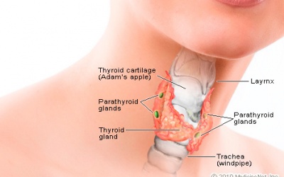 Suy giáp ảnh hưởng đến cơ thể như thế nào?