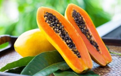 Ngừa ung thư và xơ gan bằng hạt đu đủ