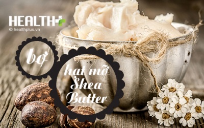 Đẹp từ đầu tới chân chỉ nhờ bơ hạt mỡ