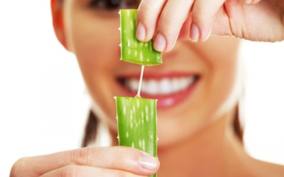 Nha đam vườn nhà giúp đẹp ngoài, mát trong như nào?