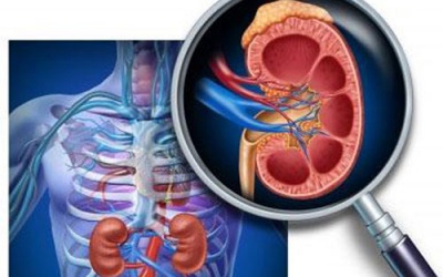 Sống chung với bệnh thận mạn tính