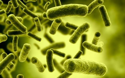 Probiotics có giúp hạ cholesterol?