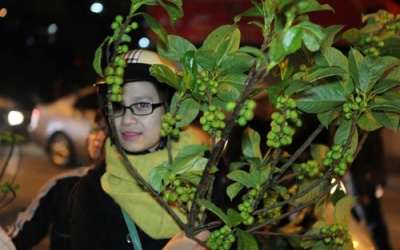 Hái lộc đầu năm: Xem chừng 'phải tội'