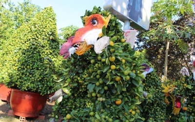 Cây cảnh khỉ Tề thiên 'đại náo' chợ Tết