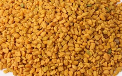 Người bị đái tháo đường có nên ăn hạt methi?