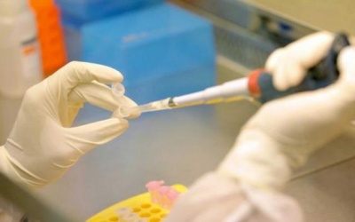 Những người suýt chết, tàn phế vì thử thuốc sai lệch