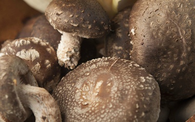 Tết đến ăn nấm đông cô cho cả năm khoẻ mạnh, may mắn