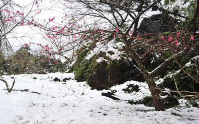 Hà Nội có thể rét kỷ lục, nhiệt độ còn 6 độ C