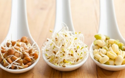 Top 9 loại ngũ cốc nảy mầm tốt nhất cho sức khoẻ