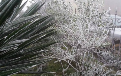 Mẫu Sơn rét âm 2 độ C, băng giá tràn ngập