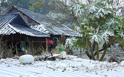 Bắc Bộ 'run rẩy' với cái lạnh thấu xương