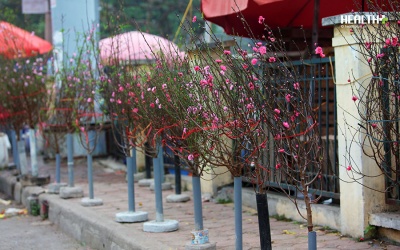 Đào Nhật Tân rộn ràng xuống phố đón Tết Bính Thân