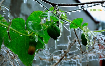 Hơn 20 địa điểm có băng tuyết ở Việt Nam