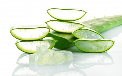 Lô hội có tốt cho bệnh nhân tự miễn?