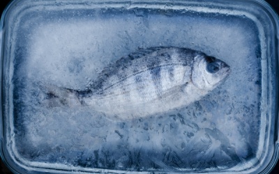 Bảo quản thịt cá: Chỉ nhét vào tủ lạnh là xong?