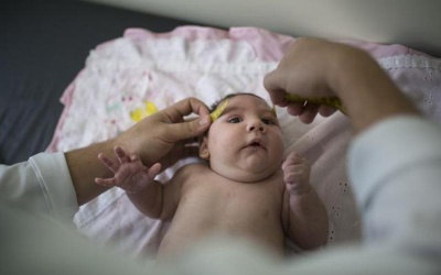 WHO: Virus teo não trẻ Zika bùng phát mạnh