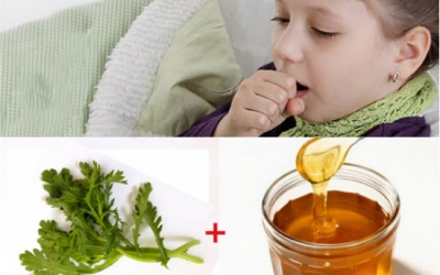 Mẹo trị ho với rau cải cúc – ngon ngọt lại khỏi bệnh