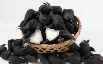 Bài thuốc hay trị bệnh từ củ ấu