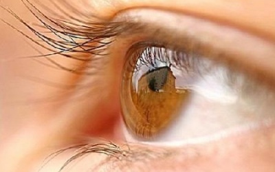 Tăng nhãn áp có điều trị khỏi được không?