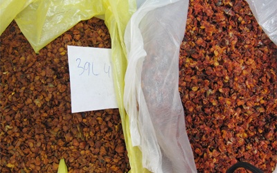 Tràn dược liệu nhập từ Trung Quốc