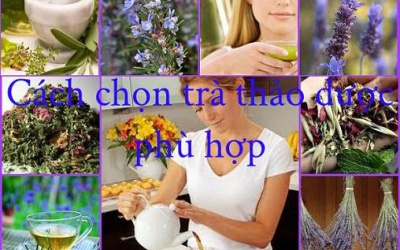 Trà thảo dược: Bệnh nào trà đó!