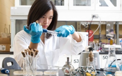 Đã tìm ra loại vi khuẩn có khả năng cứu cả thế giới