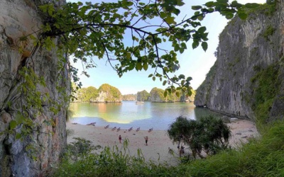 Đoàn phim 'Kong: Skull Island' lấy phà, du thuyền làm đại bản doanh trên vịnh Hạ Long