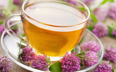 Trà hỗn hợp thảo dược Essiac chống ung thư và thải độc nhanh chóng