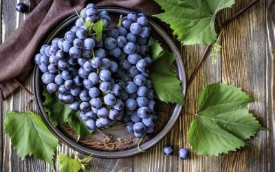 Người bệnh đái tháo đường có nên ăn nho không? 