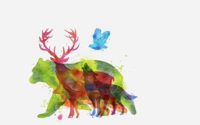 Con vật đầu tiên bạn thấy tiết lộ ưu điểm bạn được mọi người yêu mến