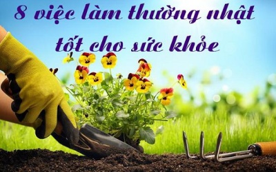 8 hoạt động 'giết thời gian' có lợi cho sức khỏe