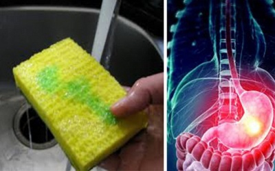 Điều cần làm ngay để tránh bệnh từ giẻ rửa bát