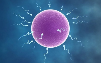 Tinh trùng dị dạng có bị vô sinh không?