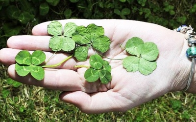 Tiết lộ 3 con giáp được thần May mắn đồng hành suốt tháng 4