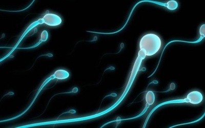Tinh trùng lờ đờ có khả năng thụ thai không?