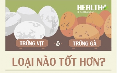 Trứng vịt tốt hơn trứng gà nhiều lần?