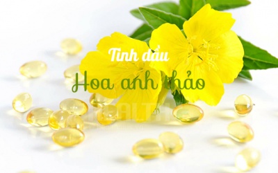 Mọi phụ nữ đều cần tinh dầu hoa anh thảo