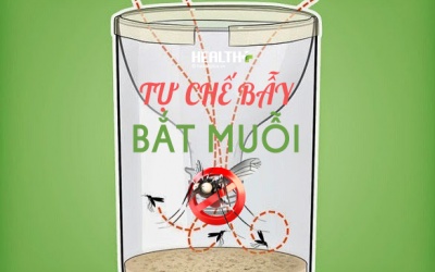 Tự chế bẫy quét sạch muỗi mang mầm virus Zika