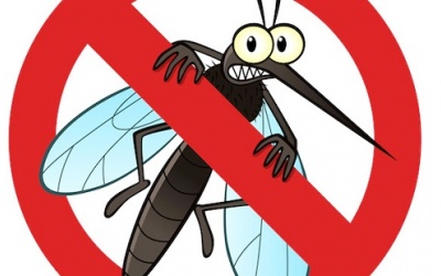 Đuổi muỗi, phòng virus Zika bằng tinh dầu tự nhiên