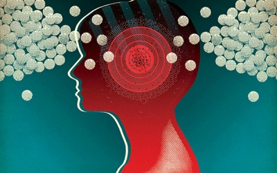 Thuốc bổ não chả tốt đẹp gì đâu, thà ăn rau đắng biển còn hơn!