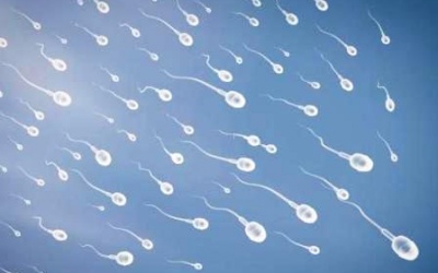 Tinh dịch loãng có nên dùng TPCN Linh Tự Đan?