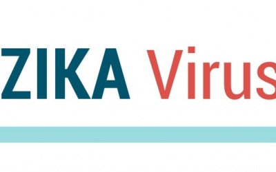 8 cách để ngăn chặn virus Zika lây lan