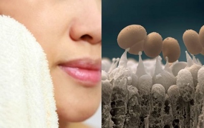 Hãy ngừng ngay việc rửa mặt bằng khăn sau khi đọc bài viết này