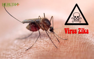 Video: 5 điều cần biết về virus Zika
