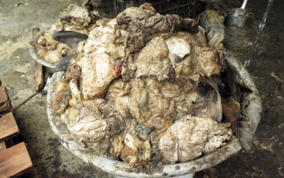 Ập vào xưởng phát hiện trên 4 tấn mỡ bẩn, hôi thối